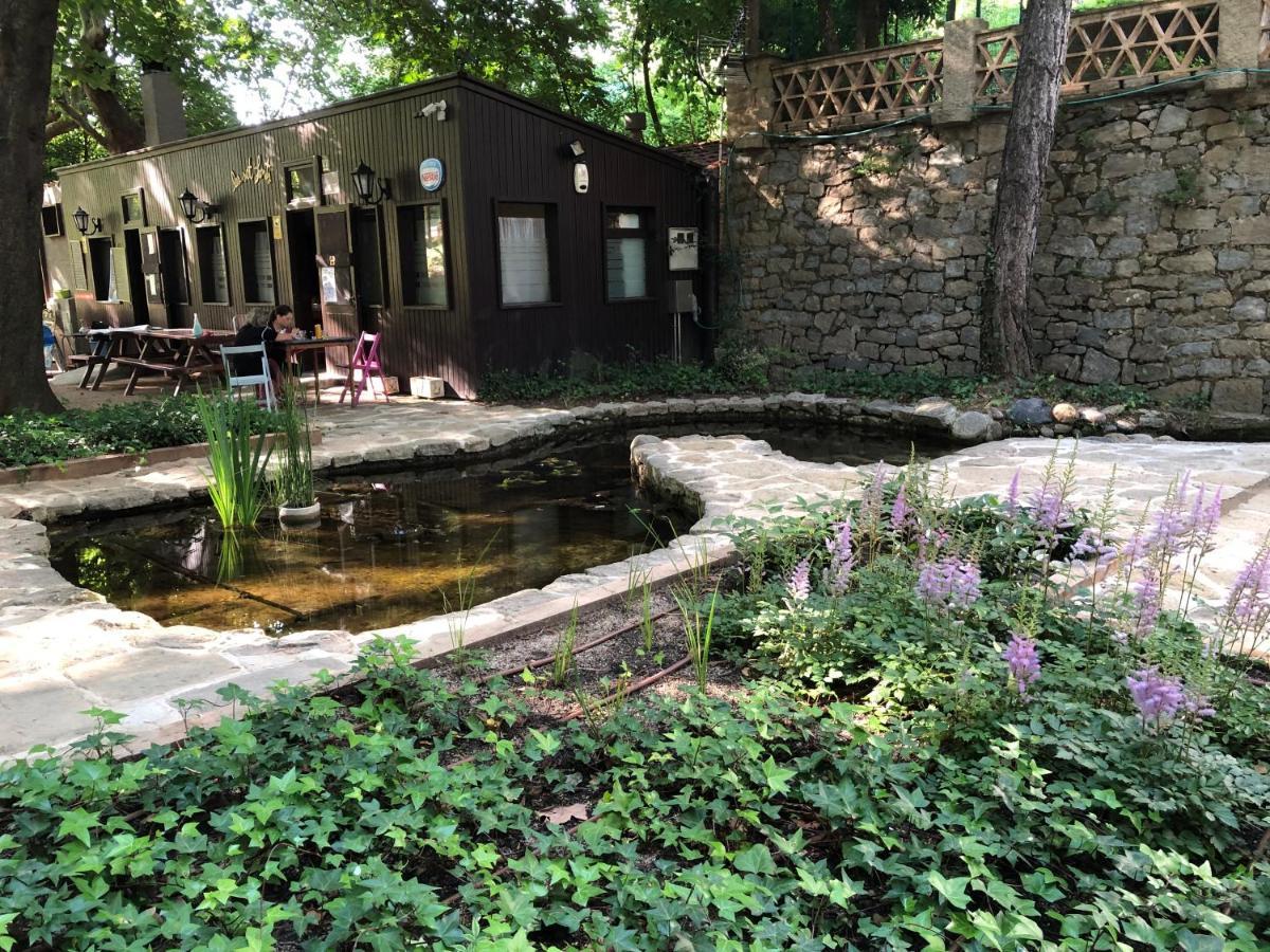 Escloper B&B 산트 홀리아 데 빌라토르타 외부 사진